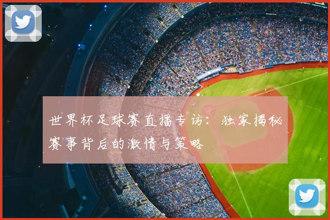 世界杯足球赛直播专访：独家揭秘赛事背后的激情与策略